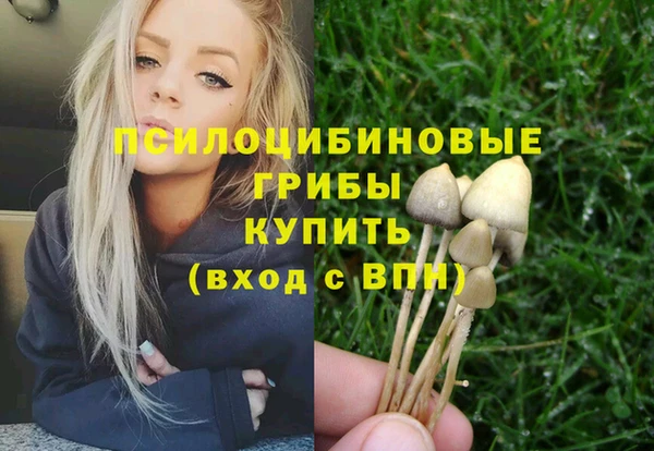 не бодяженный Абаза