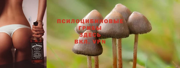 mdpv Абдулино