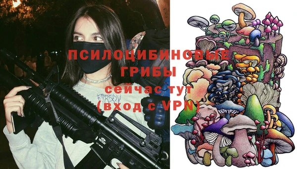 не бодяженный Абаза