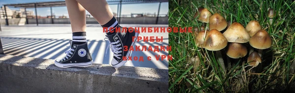 не бодяженный Абаза