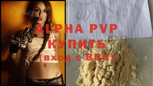 винт Алексин
