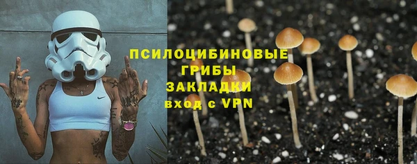 не бодяженный Абаза