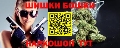 индика Шахты