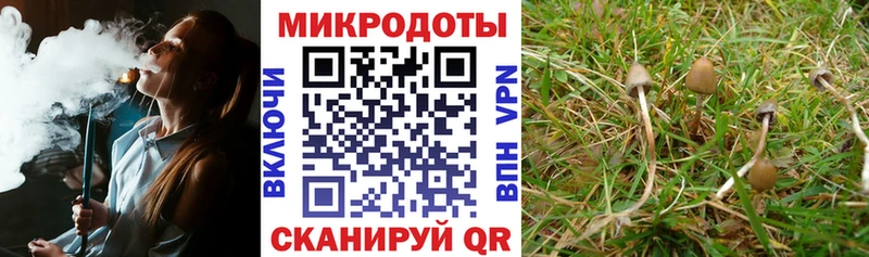 Галлюциногенные грибы мицелий  Дятьково 