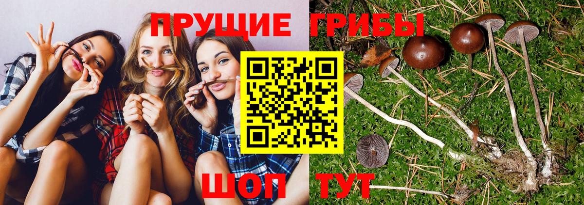 Дятьково  Галлюциногенные грибы ЛСД  Вход с VPN 